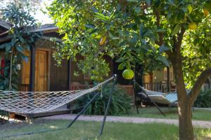 uma rede num quintal ao lado de uma árvore em Caretta Caretta Pension em Cirali