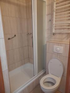 a bathroom with a toilet and a shower at Hotel Zamkowy in Słupsk