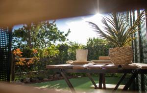 une table avec une plante en pot en haut dans l'établissement CostaSerenaSuites, à Nigrán