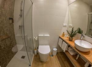 a bathroom with a shower and a toilet and a sink at CostaSerenaSuites in Nigrán