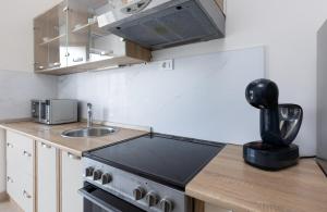 Kuchyň nebo kuchyňský kout v ubytování Apartment Ana