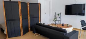 Телевизия и/или развлекателен център в Comfortable studio