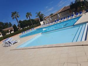 une grande piscine avec des chaises longues et des palmiers dans l'établissement Appartement de vacances Marine de Bravone - Corse, à Linguizzetta