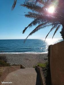 - une plage avec un palmier et l'océan dans l'établissement Appartement de vacances Marine de Bravone - Corse, à Linguizzetta