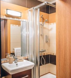 W łazience znajduje się prysznic i umywalka. w obiekcie Willa Skalniak w mieście Lądek-Zdrój