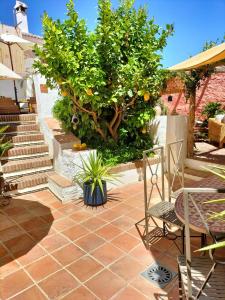 a patio with an orange tree and a table and chairs at Casa Limonero in Sedella