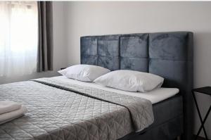 Billede fra billedgalleriet på Apartments M i Kožino