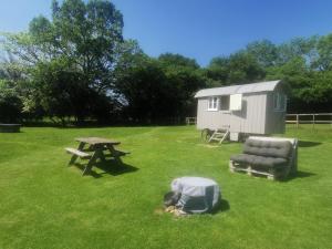 a dog laying on the grass next to a picnic table and a bench at Molly Dishwasher Shepherds Hut in Frant +11 photos