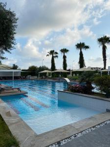 a large swimming pool with palm trees in the background at Q SPA RESİDANCE in Side