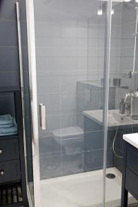 a bathroom with a shower and a toilet and a sink at Apartament Amerigo in Wrocław