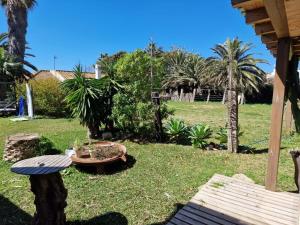 a yard with a bench and palm trees at Bolonia Beach Campus in Tarifa