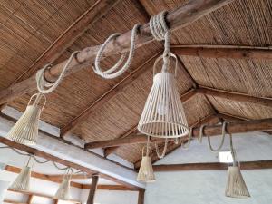 a group of lights hanging from a ceiling at Bolonia Beach Campus in Tarifa
