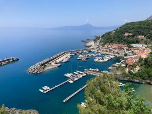 an aerial view of a marina with boats in the water at Affittacamere L’ Agrumeto in Maratea