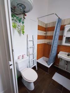 a bathroom with a toilet and a shower and a sink at Appartement idéalement situé pour curiste in Châtel-Guyon