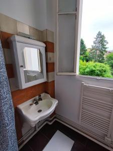 a bathroom with a sink and a mirror and a window at Appartement idéalement situé pour curiste in Châtel-Guyon