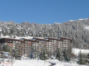 Coquet studio 24m² au pied des pistes, 4 pers, balcon sud, proche commerces, Villard-de-Lans - FR-1-689-23 v zime