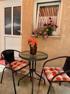 Φωτογραφία από το άλμπουμ του Room Omera στην Πούλα