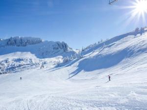 Studio 4 pers, skis aux pieds, Villard-de-Lans - FR-1-689-46 v zime