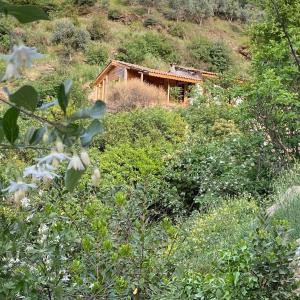 una pequeña casa de madera en medio de un bosque en Şirince mağara deresi evleri. en Selcuk
