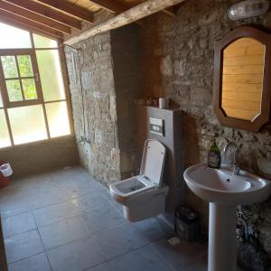 uma casa de banho com um WC e um lavatório em Şirince mağara deresi evleri. em Selçuk