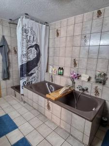 uma casa de banho com banheira num quarto em Stylish large 4 room apartment close to the center em Grenzach-Wyhlen