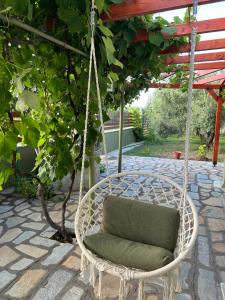Zahrada ubytování Green Olive Studios