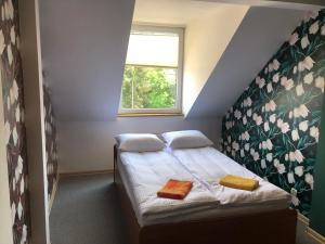 1 dormitorio con 1 cama con 2 almohadas y ventana en Noclegi Rynek 12, en Lesko