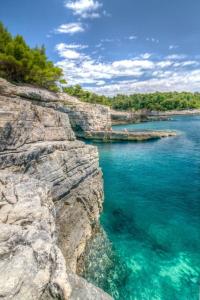 Naturlandskabet i nærheden af lejligheden