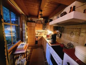 a small kitchen with a stove and a sink at Haus Markus in Wolfsberg