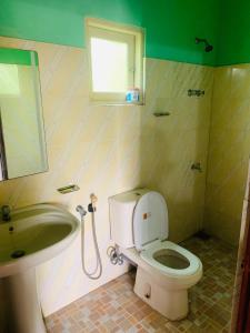 a bathroom with a toilet and a sink and a mirror at Hareesha Holiday Resort in Galle