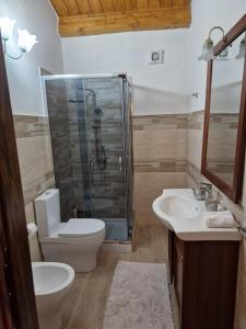 a bathroom with a shower and a toilet and a sink at Appartamento Filomena scano di montiferro in Scano Montiferro