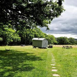 a green shed sitting in a field next to a tree at Skylark Shepherds Hut in Royal Tunbridge Wells