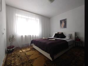 Gallery image of Apartment Bella in Bihać