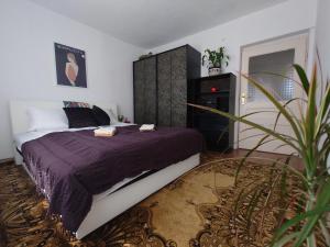 Gallery image of Apartment Bella in Bihać