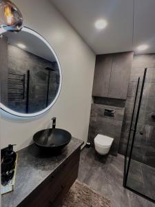 W łazience znajduje się umywalka, toaleta i lustro. w obiekcie J.Kairiūkščio apartamentai w Wilnie