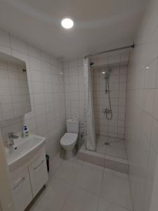 uma casa de banho com um chuveiro, um WC e um lavatório. em B&B Hotel Telsiai em Telšiai