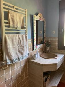 uma casa de banho com um lavatório e um espelho em Villa Juan em La Adrada
