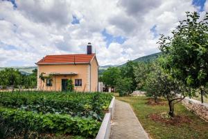 a small house in a field next to a road at Holiday home Anica in Čavoglave