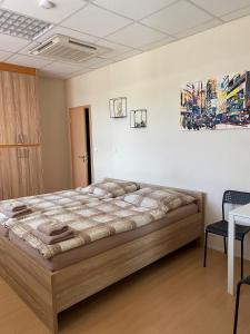 1 dormitorio con 1 cama grande en una habitación en Hostel Hodonín en Hodonín