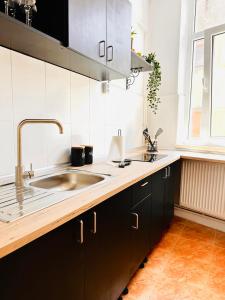 Kuchyň nebo kuchyňský kout v ubytování Villa 56*