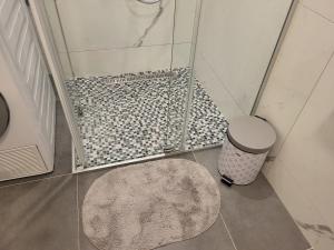 Ένα μπάνιο στο Apartman Emma +16 φωτογραφίες