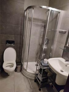 a bathroom with a shower and a toilet and a sink at Apartament HANIA in Zakopane