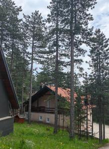 Příroda nedaleko apartmánu