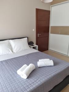 Легло или легла в стая в Ioannina city center - Michelangelo Apartments - B1