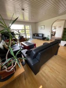 a living room with black leather furniture and plants at Haus am Oberen Eschenbacher Teich in Clausthal-Zellerfeld