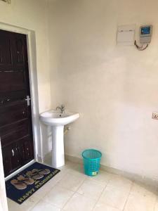 uma casa de banho com um lavatório, uma porta e uma cesta. em Ludali homes em Kakamega