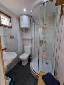 ein Bad mit einer Dusche, einem WC und einem Waschbecken in der Unterkunft Apartamentowe domki drewniane COLORADO in Karwia