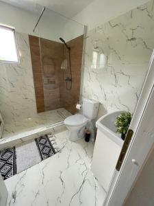 a white bathroom with a toilet and a shower at Casa cu Pitici in Vama