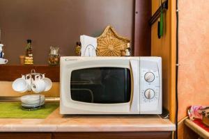 a white microwave sitting on top of a counter at Уютная квартирка в центре Тбилиси! in Tbilisi City