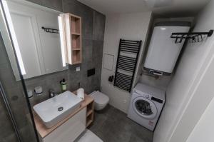 トレボンにあるApartmán Svět Relaxuの洗面台と洗濯機を備えた小さなバスルーム +26枚の写真